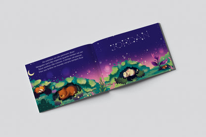 BIGGEST DREAMS - Personalized Book